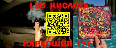 гидра Краснодар