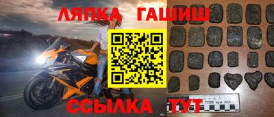 гидра Краснодар