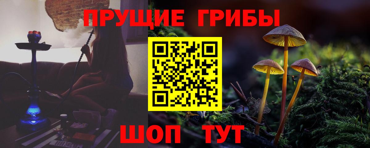 Псилоцибиновые грибы Psilocybine cubensis  Вход с VPN  Ефремов  Псилоцибиновые грибы GOLDEN TEACHER 